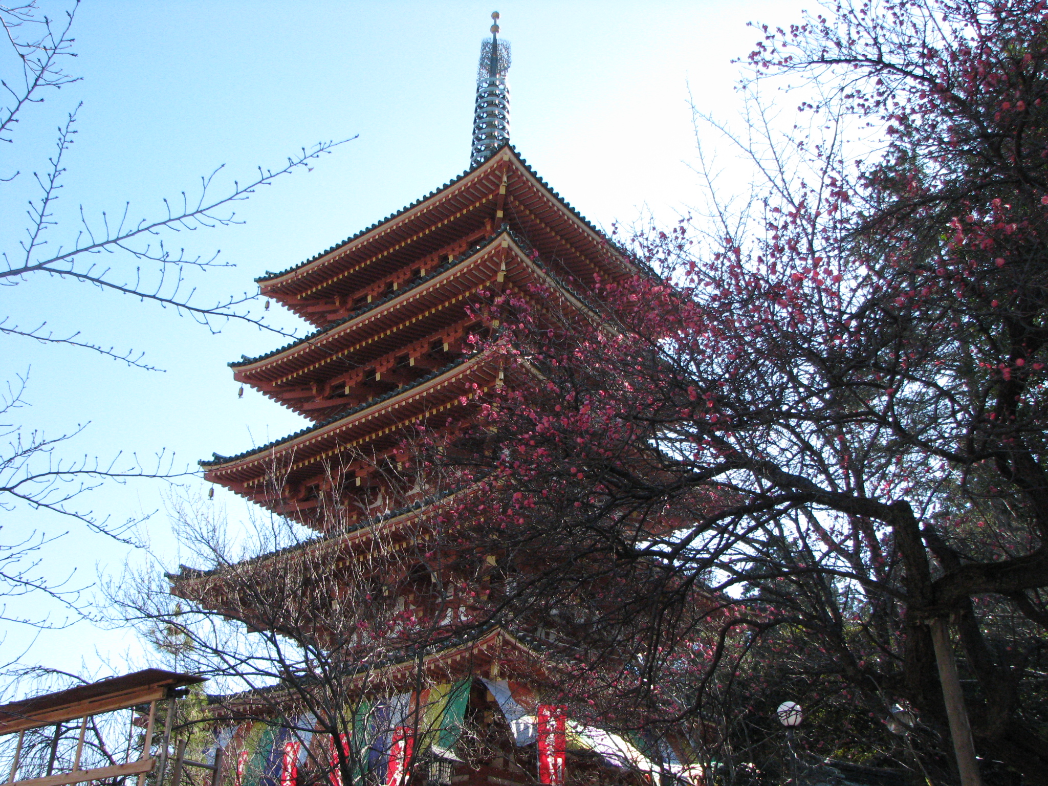 高幡不動尊の五重塔と梅の花 日野市 デジタルカメラ撮影日記